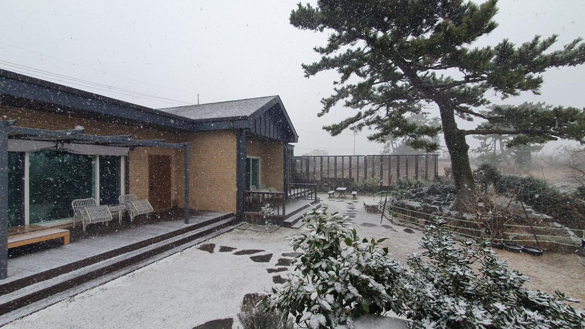 Wind Jeju Cafe & Pension Seogwipo-stad Buitenkant foto