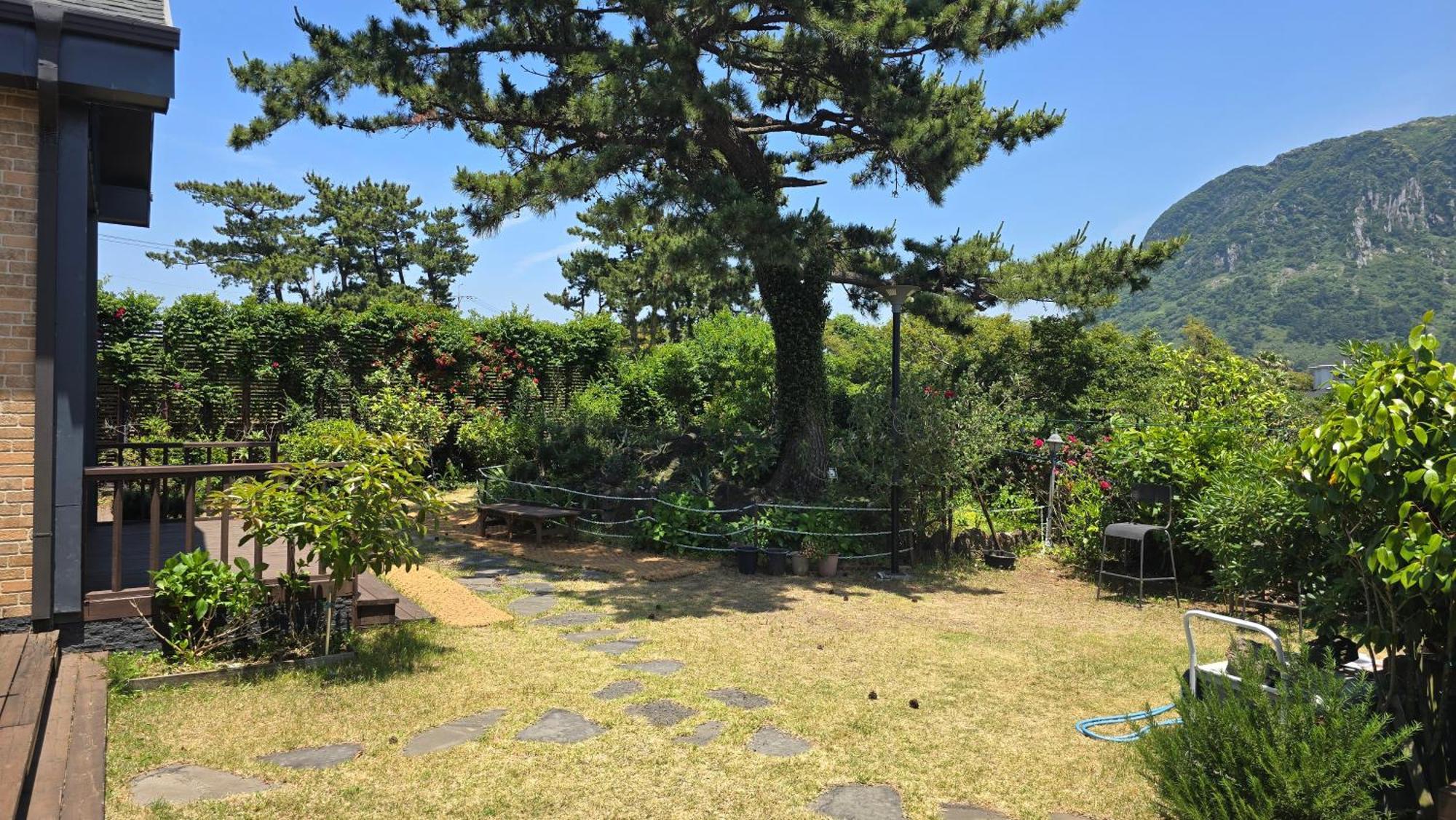 Wind Jeju Cafe & Pension Seogwipo-stad Buitenkant foto