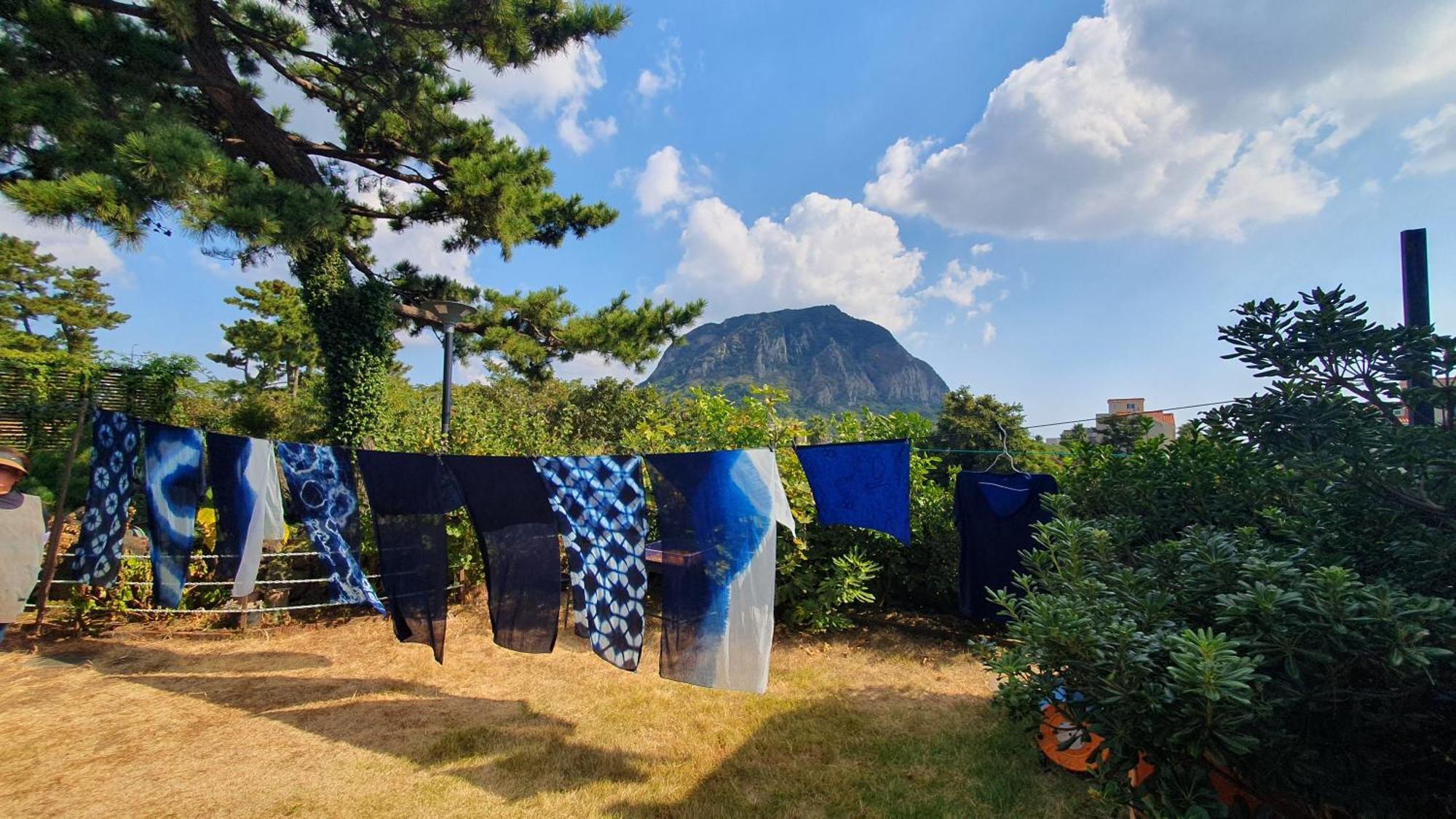 Wind Jeju Cafe & Pension Seogwipo-stad Buitenkant foto