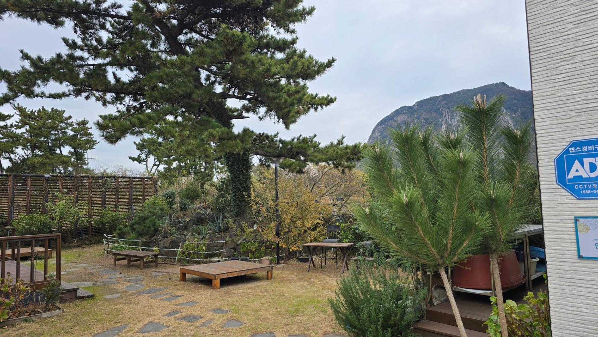 Wind Jeju Cafe & Pension Seogwipo-stad Buitenkant foto