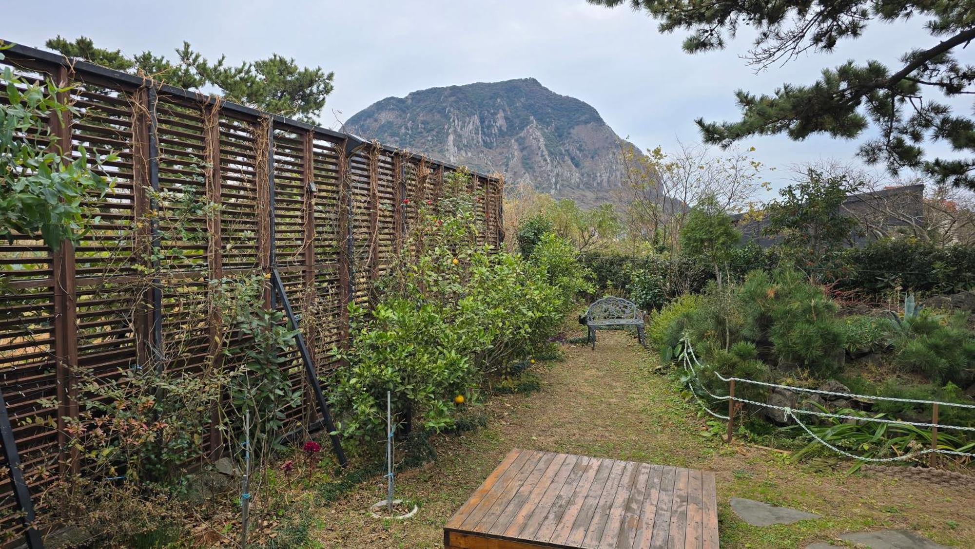 Wind Jeju Cafe & Pension Seogwipo-stad Buitenkant foto