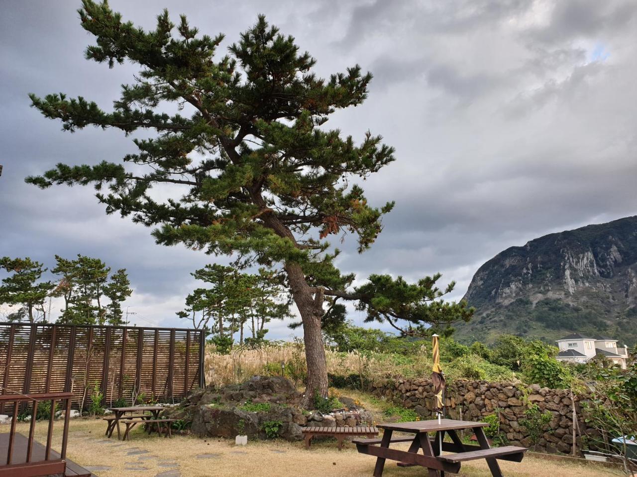 Wind Jeju Cafe & Pension Seogwipo-stad Buitenkant foto