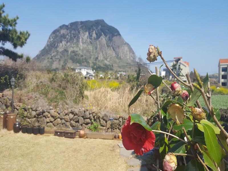 Wind Jeju Cafe & Pension Seogwipo-stad Buitenkant foto