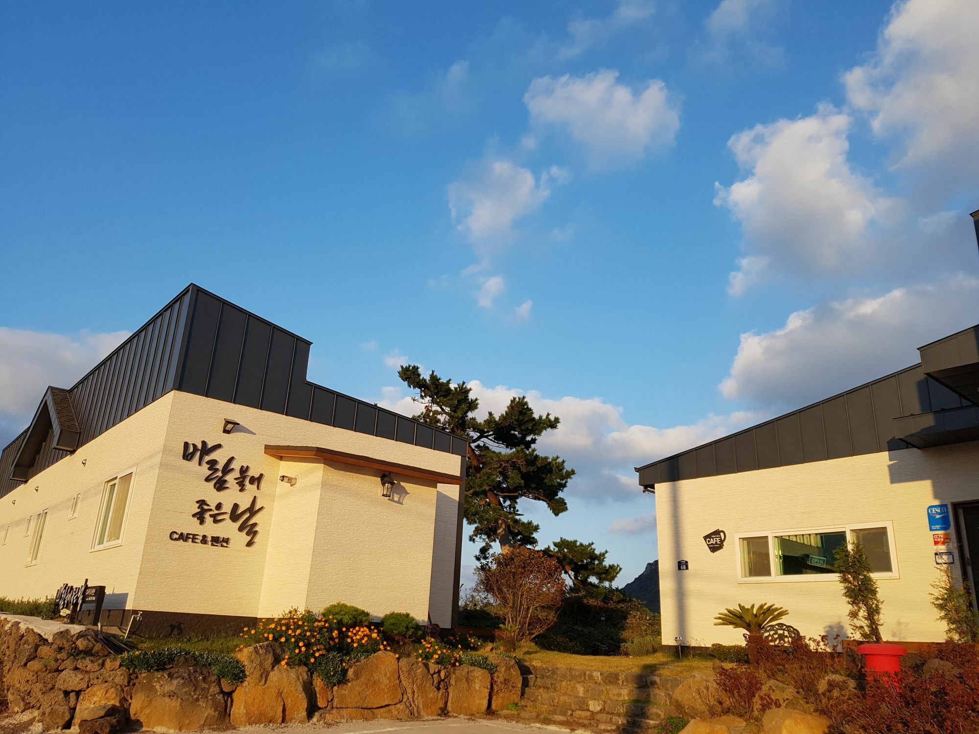 Wind Jeju Cafe & Pension Seogwipo-stad Buitenkant foto